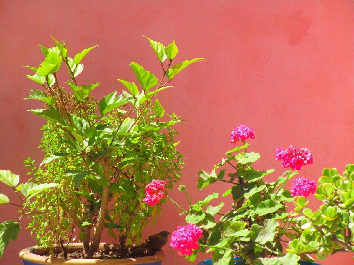 Casa Mogador Lejlighed Essaouira Eksteriør billede