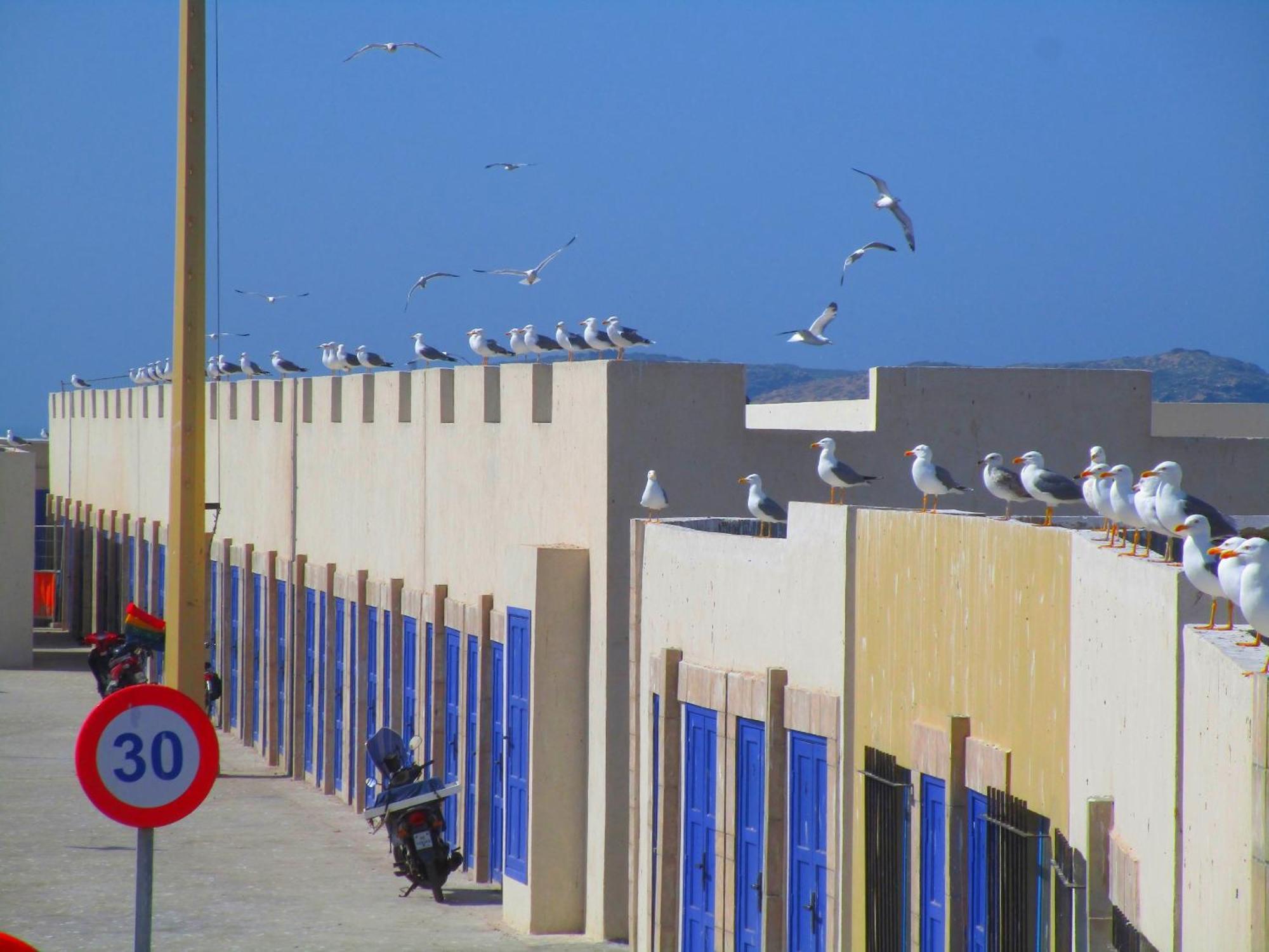 Casa Mogador Lejlighed Essaouira Eksteriør billede